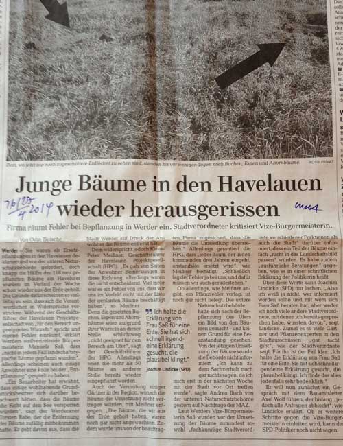 in der maz - Tageszeitung Foto von Ausschnitt eines Artikels über entfernte neue Bäume ist zu sehen - heute