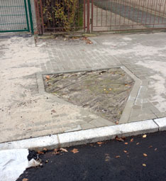 Blick auf neues Beet in der neuen Straße, heute Foto von einem neu angelegten Beet - heute.
