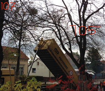 Blick auf LKW, der unter Lindenbaum Asphalt abkippt, heute Foto von LKW, der gerade unter Lindenbaum Asphalt abkippt.
