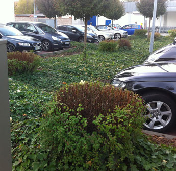 Blick auf Mulde heute Foto von einem Parkplatz eines Discounters in Potsdam.