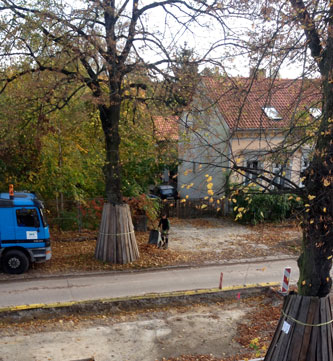 Blick auf LKW neben Linde 74 heute Foto von der Straße - neben der Linde 74 steht ein großer LKW - Foto.