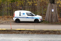 Foto von TEG Auto unter Linde ist zu sehen - heute.