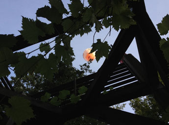 Foto von einem Ballon im Himmel - heute.