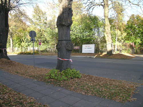 Blick auf Infotafel