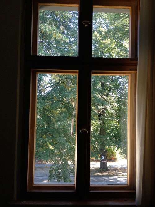 man sieht die große Baumkrone hinter dem Wohnfenster