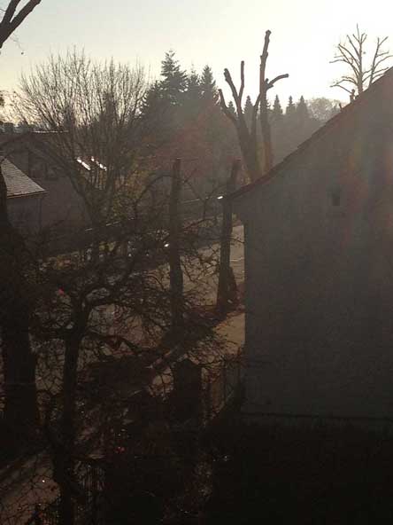 Foto - Blick aus dem Fenster vor einem Monat in der Eisenbahnstraße. Linden werden abgesägt