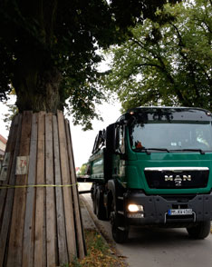 Blick auf LKW unter Linden heute Foto von LKW ist zu sehen.