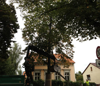 Blick auf LKW unter Linden heute Foto von LKW ist zu sehen, der eine alte Betonleuchte gegen den Lindenbaumstammm prallen lässt.