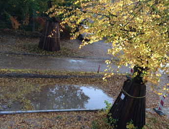 Foto von der Straße - Unterbau steht unter Wasser .