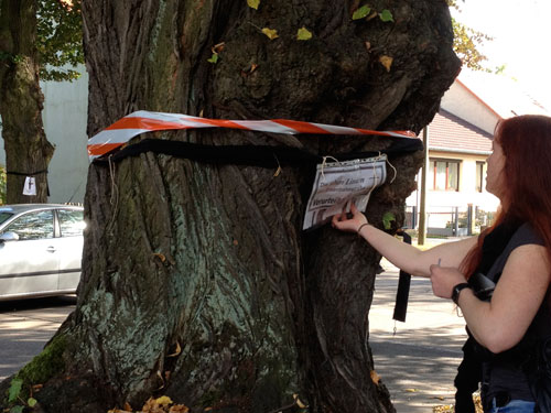 Baum mit Frau Diening, sie erfasst den Baumbestand 9_2012