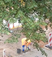 Blick auf Einfahrt heute früh Foto von einem Mitarbeiter vor der Einfahrt ist zu sehen.