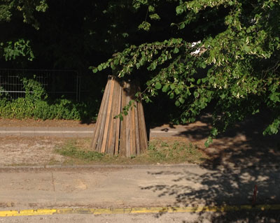 Foto von der Linde mit repariertem Holzschutz - heute.