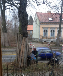 Foto von Linde 107 heute Foto vom Baum mit zwei Frauen ist zu sehen heute.