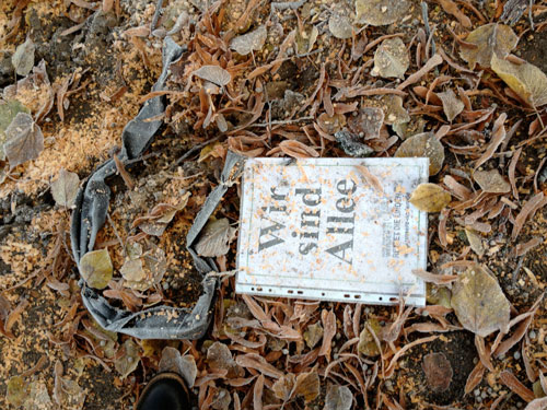 Blatt auf der Erde liegend in Lindenblüten Foto von einem Infoblatt auf der Erde liegend.