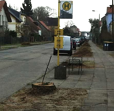 Foto von einem Baumstumpf mit einem umgebogenen eisernen Kreuz.