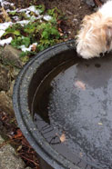 Foto von Bottich und mir heute Foto von Wasserbottich mit mir ist zu sehen - heute.