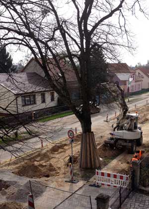 Foto vor der Tür, im Graben wird gearbeitet.