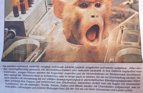 Foto von einem Zeitungsartikel über Tierquälerei ist zu sehen.
