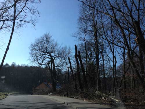 heute in Ferch Foto von der Straße in Ferch am Mühlengrund