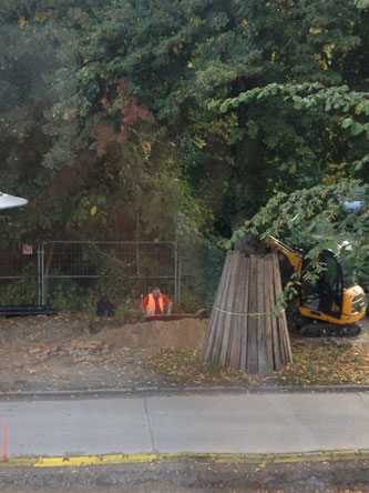 Blick auf Linde 74 heute Foto von einem Mann, der gräbt unter einem Baum - Linde 74 - ist zu sehen.