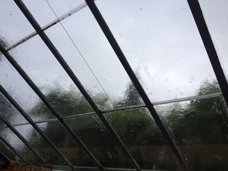 Foto von einem Glasdach im Regen heute.