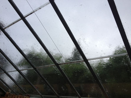 heute Regen Foto von einem Glasdach im Regen heute.