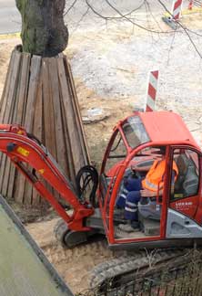 Foto von einem kleiner Bagger, direkt am Baum  - Linde 107 - heute.