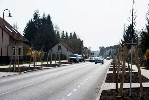 Die neu gepflanzten Linden in der Eisenbahnstraße vom Grundstück Hausnr.133 in Richtung Innenstadt geblickt - Foto Foto von der Eisenbahnstraße vom Grundstück Hausnr.133 Richtung Innenstadt ist zu sehen