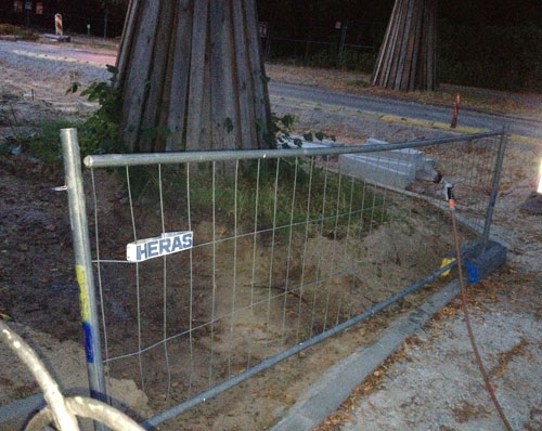 Linde 107 wird gewässert. Foto vom Wässern des Baumes Linde 107 - heute Abend.