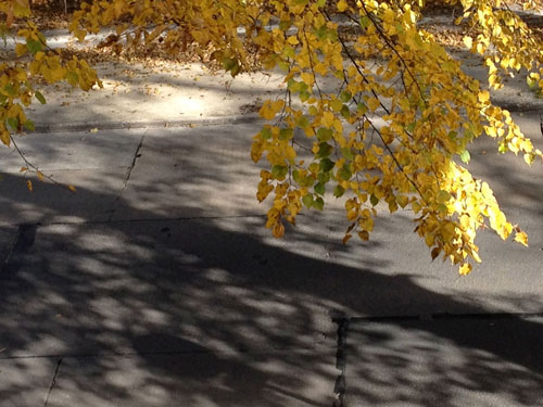 Herbst 2012 Herbst 2012