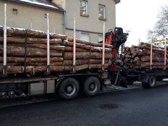 LKW mit Hänger voll mit Holzstämmen beladen stehen in der Parktasche an der Gabelung Eisenbahnstraße 