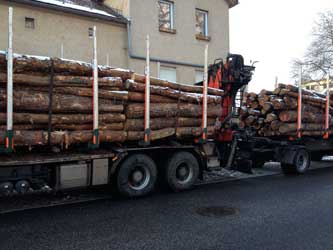 LKW mit Holzstämmen LKW mit Hänger voll mit Holzstämmen beladen stehen in der Parktasche an der Gabelung Eisenbahnstraße