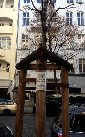 Foto von einer jungen Linde in der Nähe des Savignyplatzes in Berlin mit einem Schild