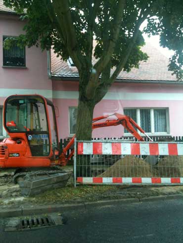 Baum Höhe Eisenbahnstraße 83