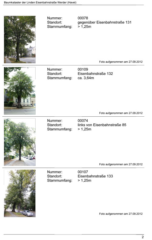 Auszug aus dem Kataster der Linden von C. Diening, Seite 2 mit Linde 109 Auszug aus dem Kataster der Linden von Carmen Diening Seite 2 zu sehen