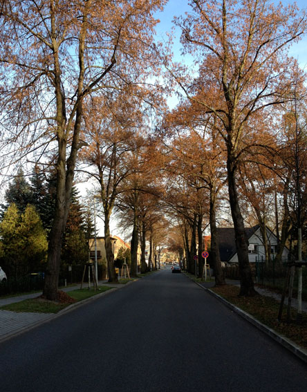 Foto von dieser Allee.