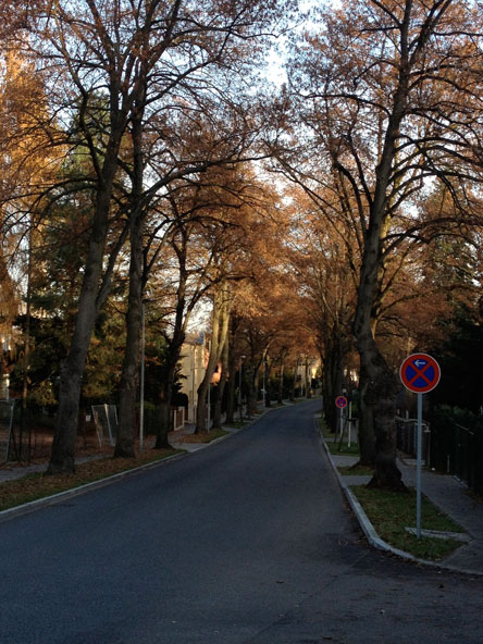 Foto von dieser Allee.