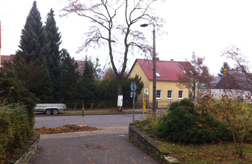 Foto von frisch gefällten Linden, auf deren Sümpfen stehen Holzkreuze - gesehen am Marienweg.