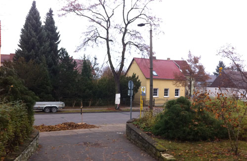 Baumstumpf mit großem Holzkreuz Foto von frisch gefällten Linden, auf deren Sümpfen stehen Holzkreuze - gesehen am Marienweg.