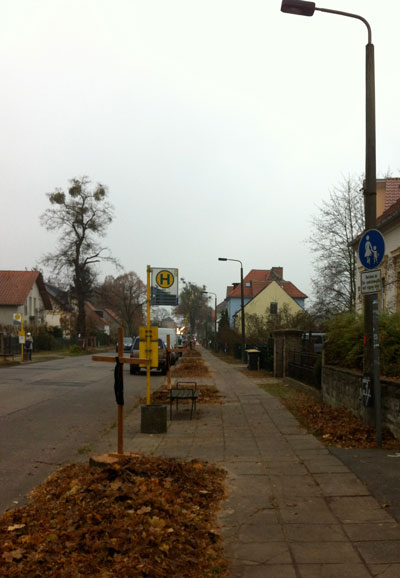 Foto von südlicher Straßenseite von der Haltestelle Marienweg aus.