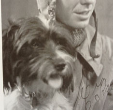 Foto mit Hund Foto von einem Hund in Schwarz-weiß LKW ist zu sehen.