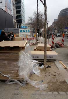 das Bäumchen heute Foto von einem jungen Baum der am Ku'damm steht