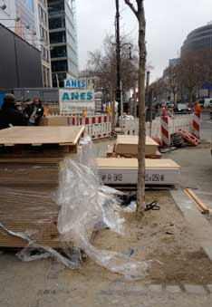 Foto von einem jungen Baum der am Ku'damm steht