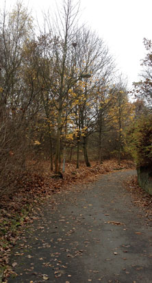 Foto von Straßenleuchte am Marienweg,  die zweite ist zu sehen - heute.