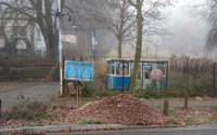 Foto von Lindenbaumstamm mit Laub ist zu sehen - heute.