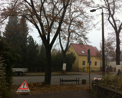 mein letztes Foto von heute Foto von Baumgruppe an der Haltestelle