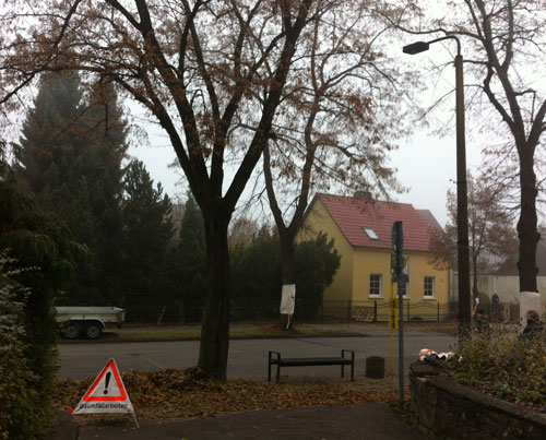 Foto von Baumgruppe an der Haltestelle