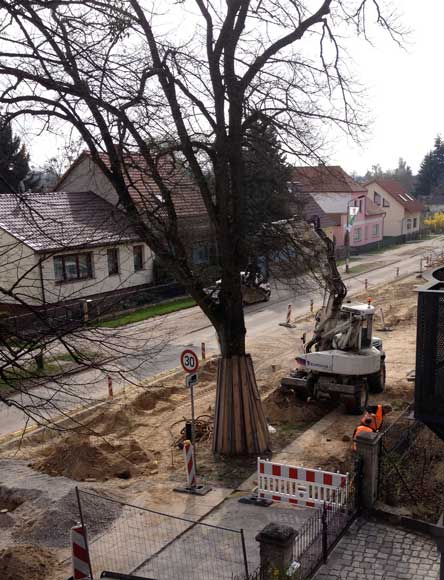 heute auf der anderen Seite des Grundstücks der andere Bagger Foto von einem Bagger rechts vom Haus.