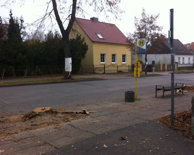 Foto von frisch gefällten Linden, auf deren Stümpfen ein umgestoßenes Holzkreuz