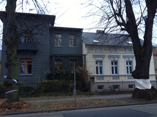 Linden heute Foto von zwei Linden vor dem Wohnhaus Nr. 133